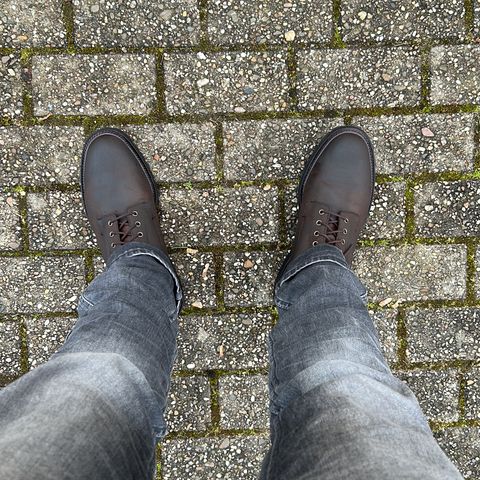 Crockett & Jones Grizedale in Dark Brown Roughout Suede
