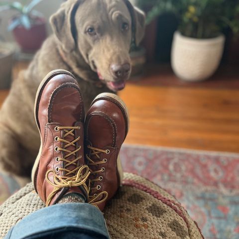 Red Wing 6-Inch Classic Moc in S.B. Foot Oro Legacy