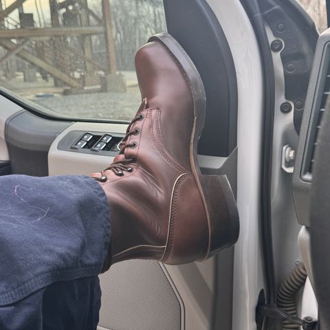 Frank's Wilshire in Horween Timber Chromexcel