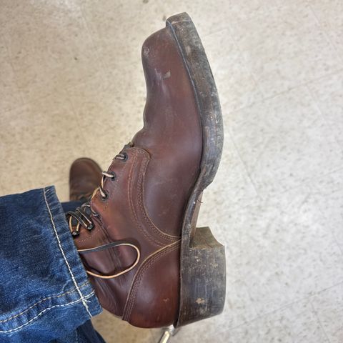 Frank's Wilshire in Horween Timber Chromexcel