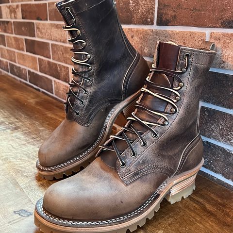 Nicks Urban Logger in Predator Natural