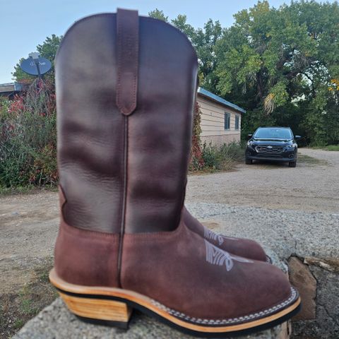 Nicks Palouse in Seidel 1964 Brown Double Shot & Seidel 1964 Walnut Smooth