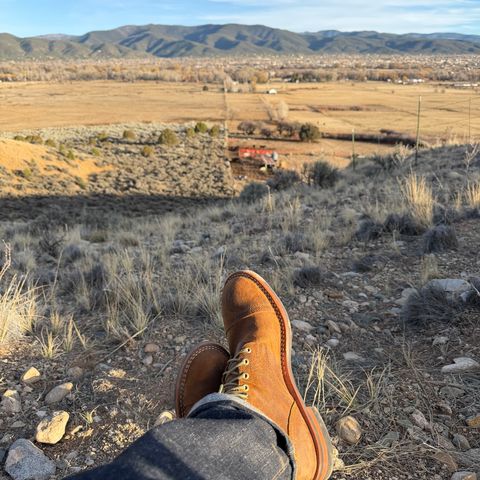 Nicks MTO in C.F. Stead Wheatbuck Waxy Commander Suede