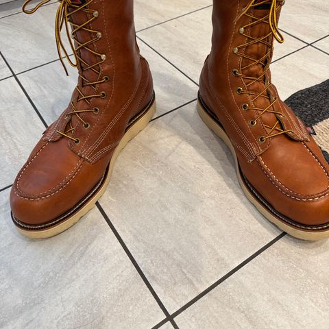 Thorogood American Heritage 8" Moc Toe in Tobacco Gladiator Oil-Tanned