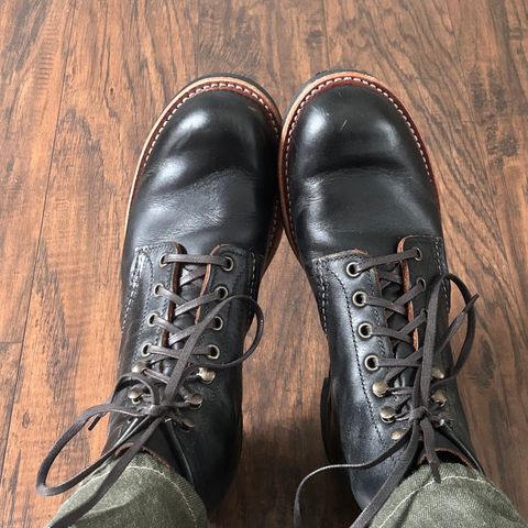Red Wing Blacksmith in S.B. Foot Black Prairie