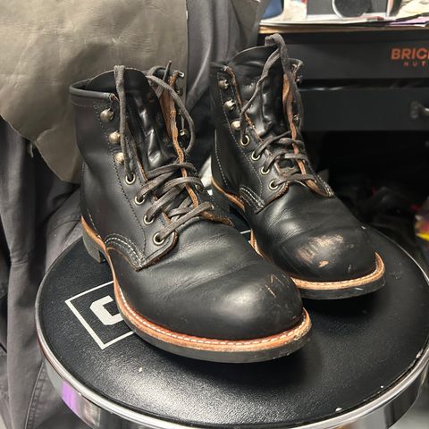 Red Wing Blacksmith in S.B. Foot Black Prairie