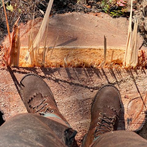 Frank's Ground Pounder in Seidel Chocolate Oil Tan Roughout