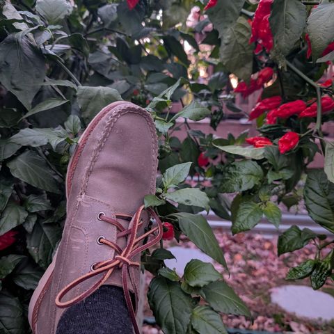 Rancourt & Co. Acadia Chukka Redux in C.F. Stead Driftwood Waxy Commander