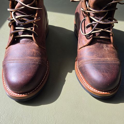 Truman Cap Toe Boot in Cognac Teton Stag