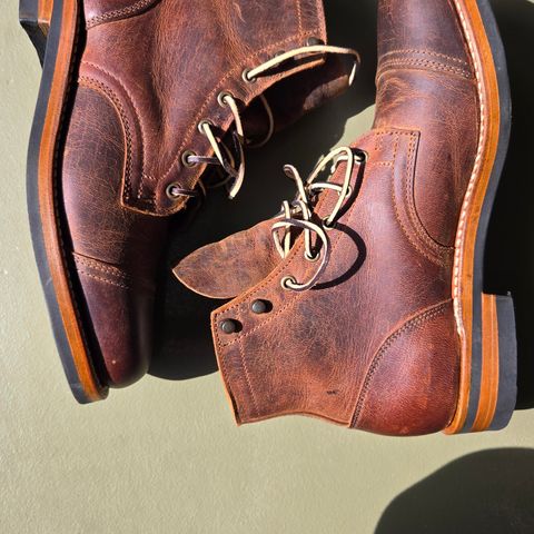 Truman Cap Toe Boot in Cognac Teton Stag