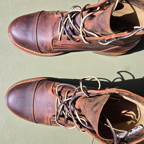Truman Cap Toe Boot in Cognac Teton Stag