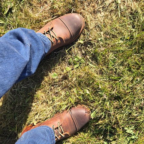 Truman Cap Toe Boot in Cognac Teton Stag