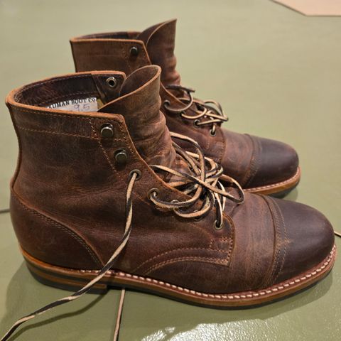 Truman Cap Toe Boot in Cognac Teton Stag