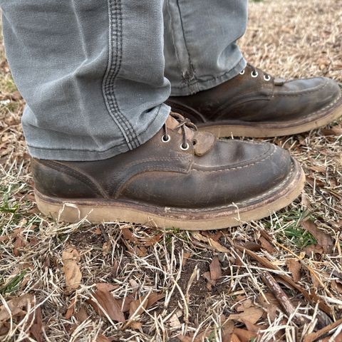 Nicks Moc Toe in Tasman Leather Group Coyote Roughout