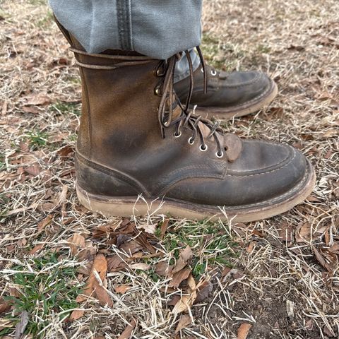 Nicks Moc Toe in Tasman Leather Group Coyote Roughout
