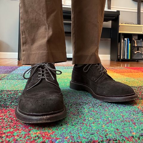 Grant Stone Longwing in C.F. Stead Espresso Repello Calf Suede