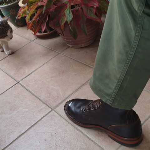 Nicks Officer in Horween Brown Waxed Flesh