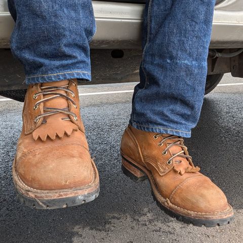 Nicks DomePro in Seidel 1964 Tan