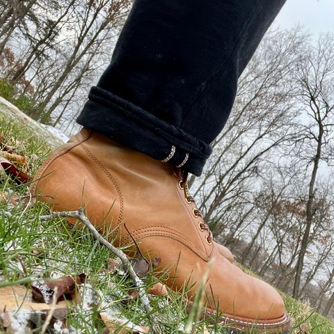 Y'2 Leather Work Boot in Kakishibu Horse (KS-02)
