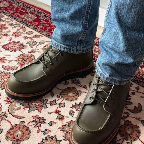 Red Wing 6-Inch Classic Moc in S.B. Foot Alpine Portage