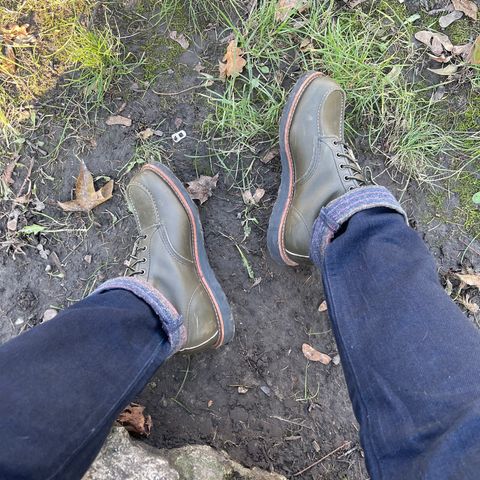 Red Wing 6-Inch Classic Moc in S.B. Foot Alpine Portage