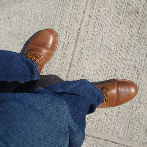 Oak Street Bootmakers Trench Oxford in Horween Natural Chromexcel Horsehide