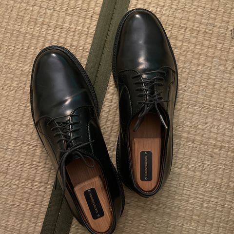 Alden Plain Toe Blucher in Horween Black Shell Cordovan