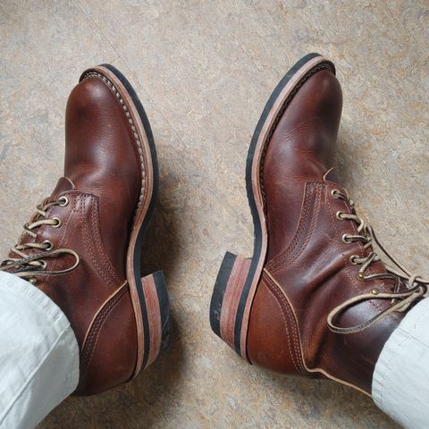 Nicks Robert in Italian Brown Cypress