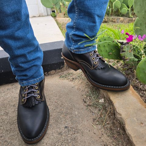 White's Packer Pointed Toe in Seidel Black Oil Tan & Horween Black Waxed Flesh