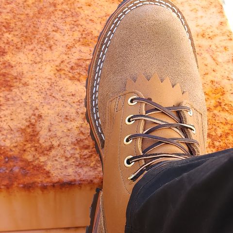 Nicks DomePro in Seidel 1964 Tan Roughout & Seidel 1964 Tan