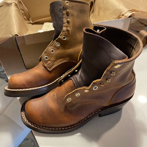 Nicks Robert in Horween Orange Predator