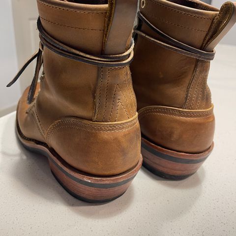 Nicks Robert in Horween Orange Predator