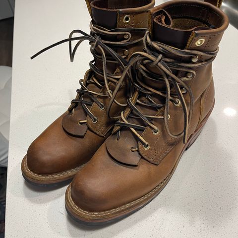 Nicks Robert in Horween Orange Predator