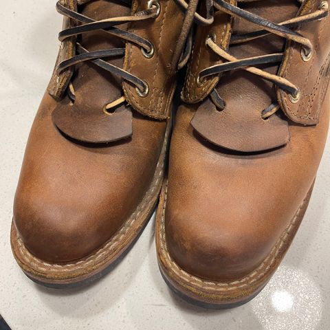 Nicks Robert in Horween Orange Predator