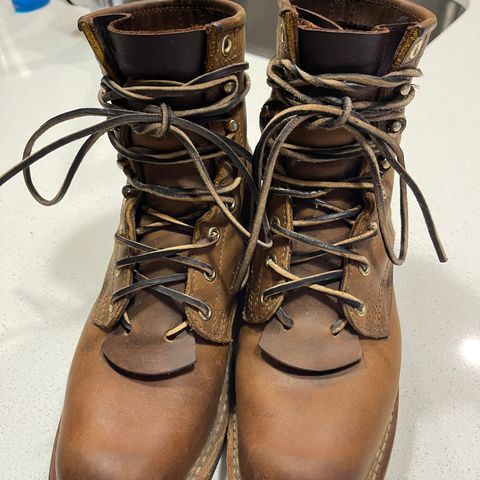 Nicks Robert in Horween Orange Predator