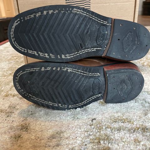 Nicks Robert in Horween Orange Predator