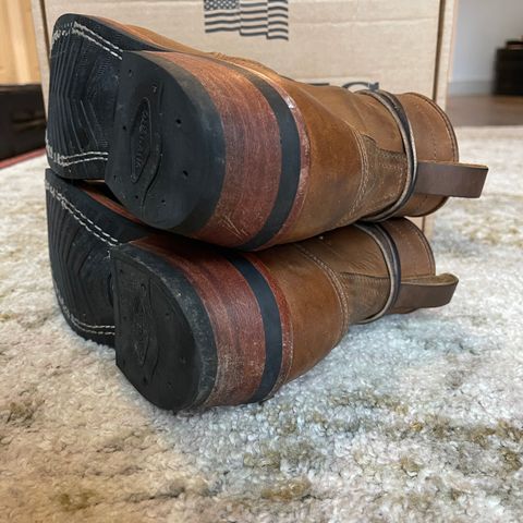 Nicks Robert in Horween Orange Predator