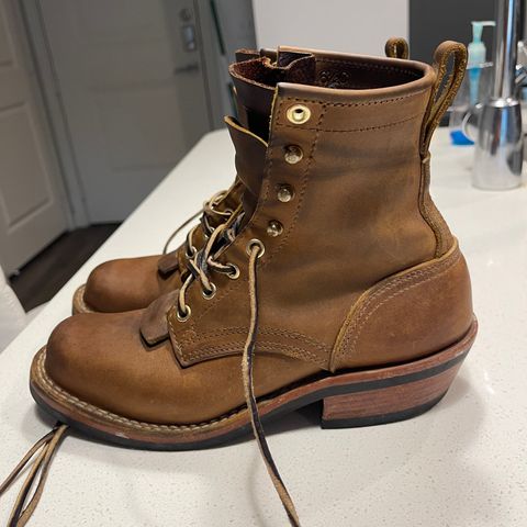 Nicks Robert in Horween Orange Predator
