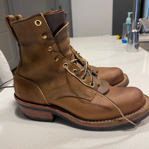 Nicks Robert in Horween Orange Predator