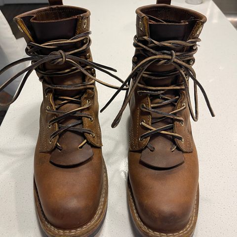 Nicks Robert in Horween Orange Predator