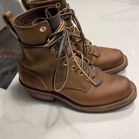 Nicks Robert in Horween Orange Predator