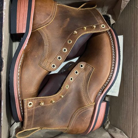 Nicks Robert in Horween Orange Predator