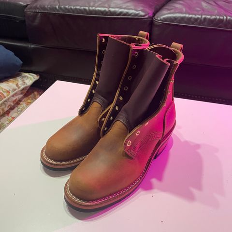Nicks Robert in Horween Orange Predator