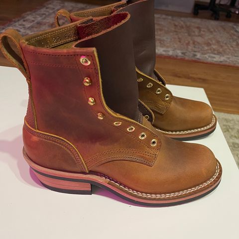 Nicks Robert in Horween Orange Predator