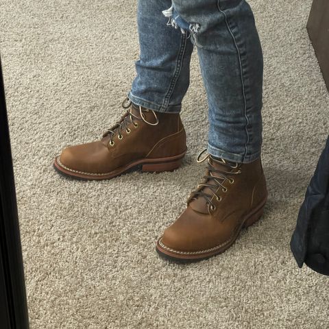 Nicks Robert in Horween Orange Predator