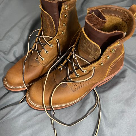 Nicks Robert in Horween Orange Predator