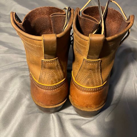 Nicks Robert in Horween Orange Predator