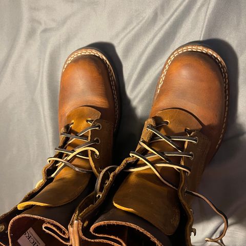 Nicks Robert in Horween Orange Predator