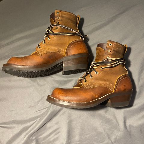 Nicks Robert in Horween Orange Predator