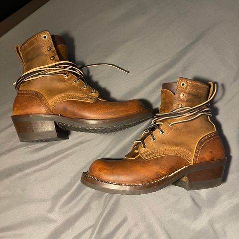 Nicks Robert in Horween Orange Predator